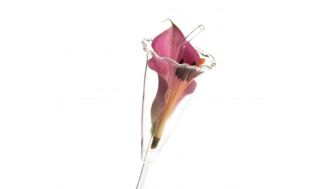 CANNUCCIA COLIBRI' IN VETRO 3 CANNUCCIA COLIBRI' IN VETRO