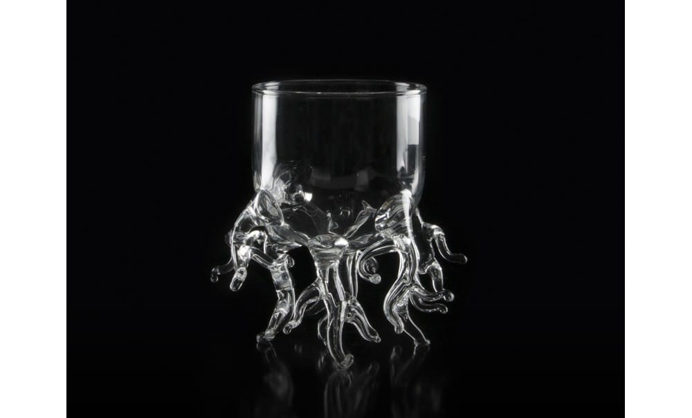 COPPA BARRIERA CORALLINA 2 COPPA BARRIERA CORALLINA