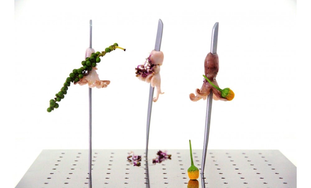 SUPPORTO INOX 169 STECCHI