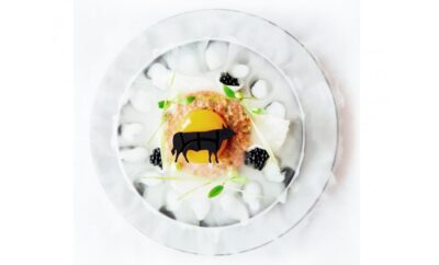 BLOCCO DI GHIACCIO SECCO 250GR.