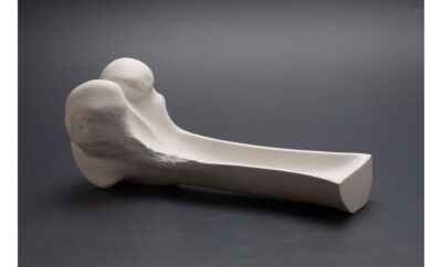 PIATTO GRANDE FEMORE