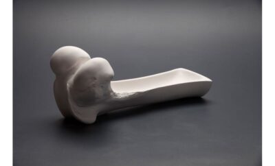 PIATTO GRANDE FEMORE