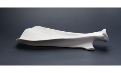 PIATTO SCAPOLA PORCELLANA