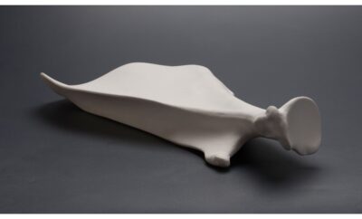 PIATTO SCAPOLA PORCELLANA