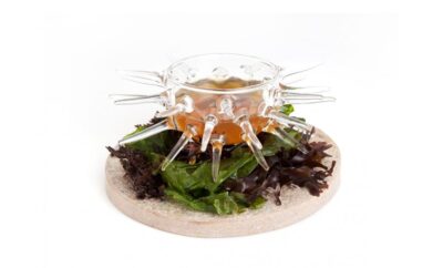 PIATTO RICCIO DI MARE