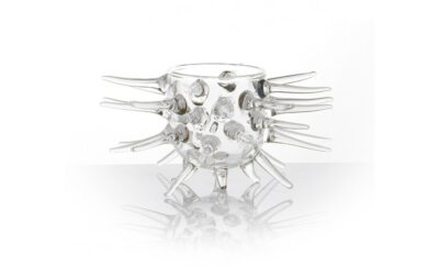 PIATTO RICCIO DI MARE ALTO