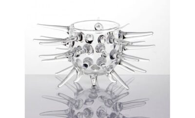 PIATTO RICCIO DI MARE ALTO