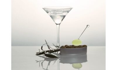 Ghiaccio Colorato OLIVA VERDE DRY MARTINI