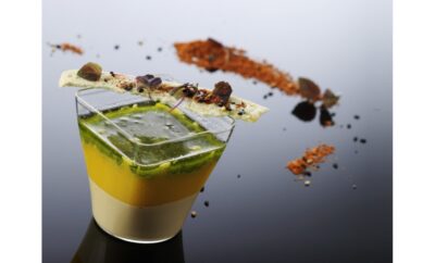 BICCHIERINO DA DEGUSTAZIONE 9 CL HOLA