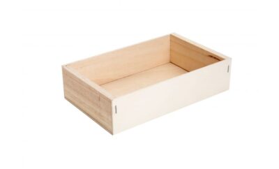 RIPRODUZIONE CASSETTA DI PESCE